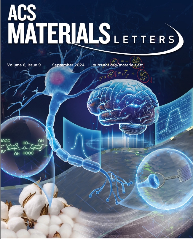 Efficient Synaptic Emulation and Ultralow Power Digital-Analog Conversion in Cellulose-Based Neural Devices through Molecular Polarization
