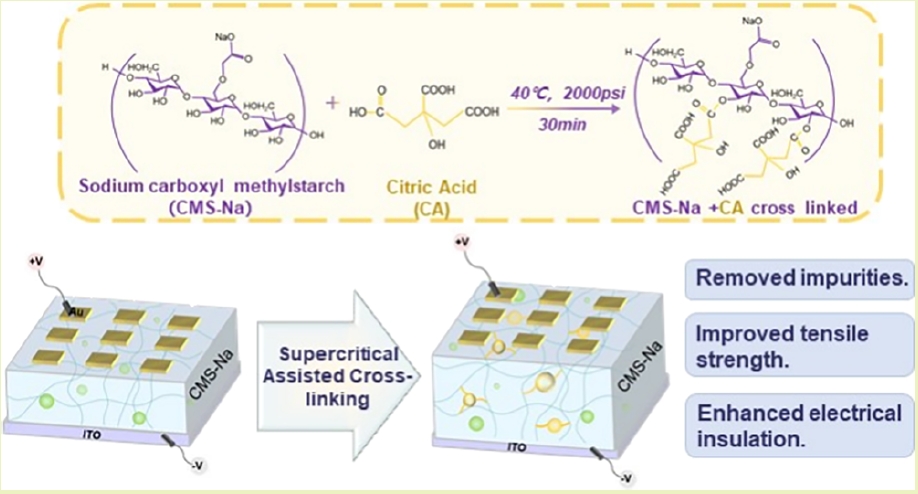 Sodium Carboxymethyl Starch Films with Enhanced Cross-Linking,Electrical, and Mechanical Properties via Supercritical-Assisted Modification